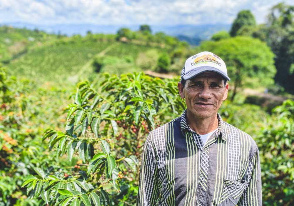 Finca La Esperanza Washed Pink Bourbon