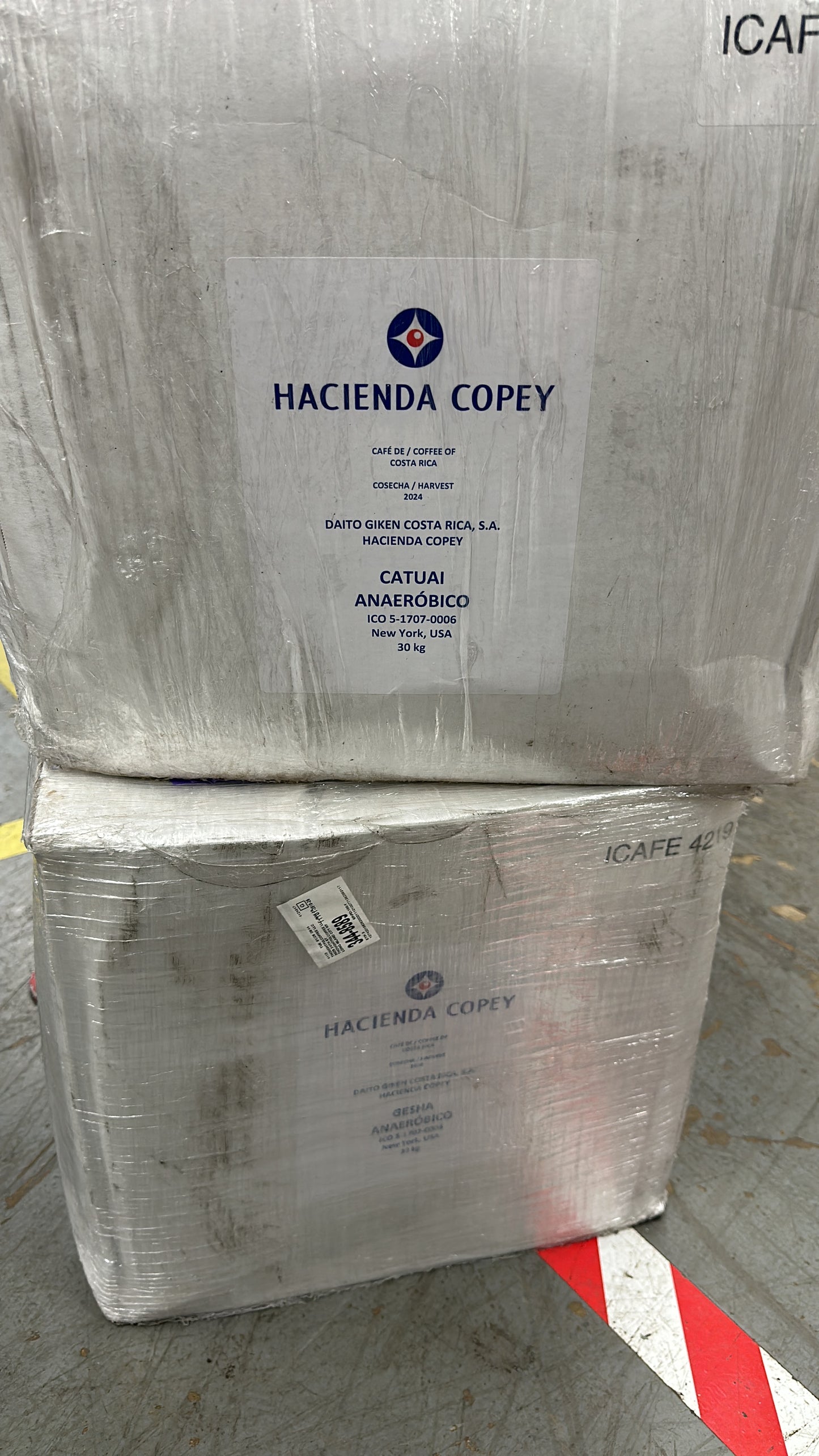 Hacienda Copey Anaerobic Honey Red Catuai #29 [first roast on 03/22]