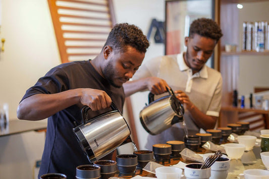 Alo Morkie F5 72 Hour Anaerobic Natural 74158