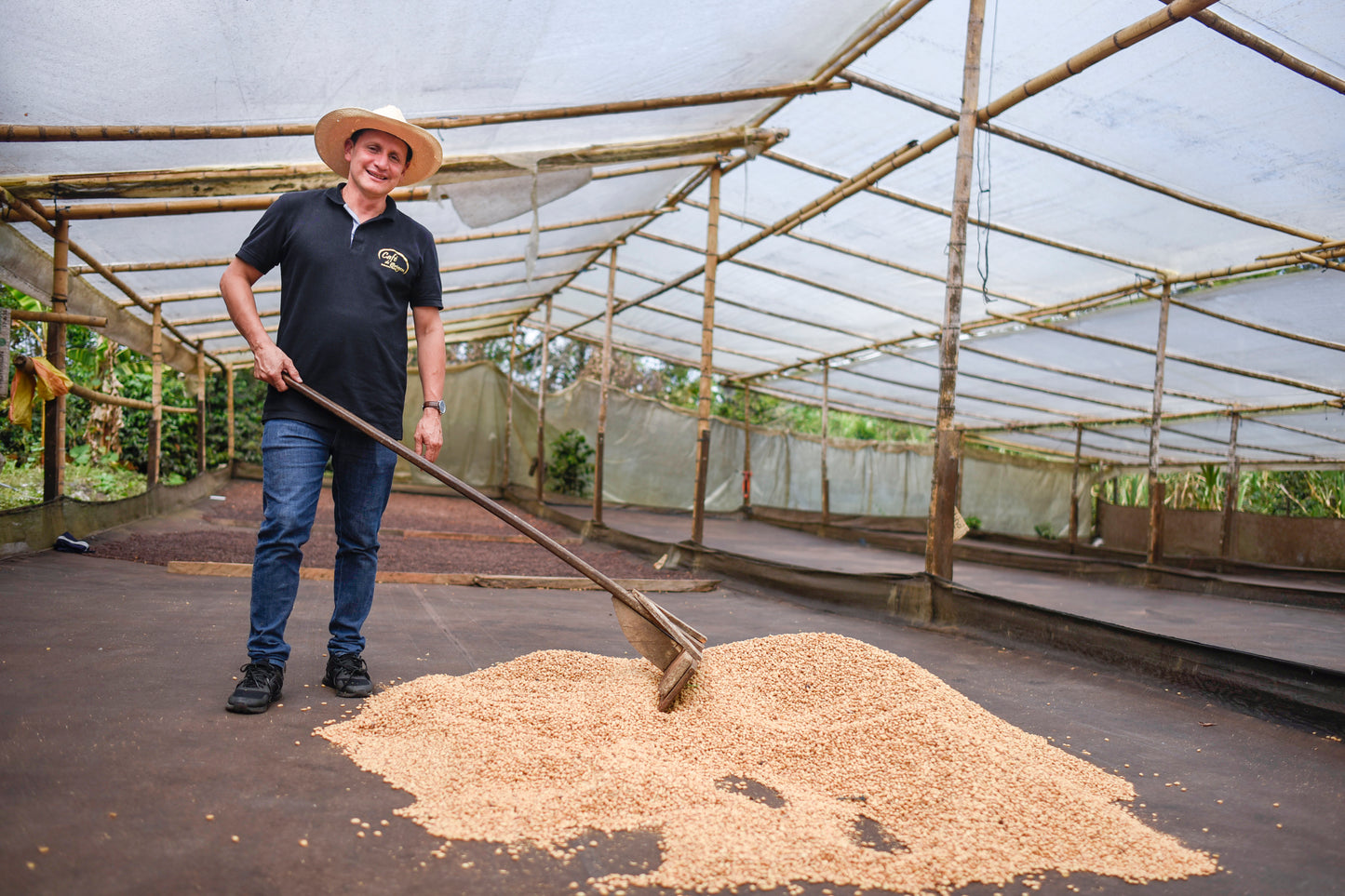 Finca Betania Washed Gesha