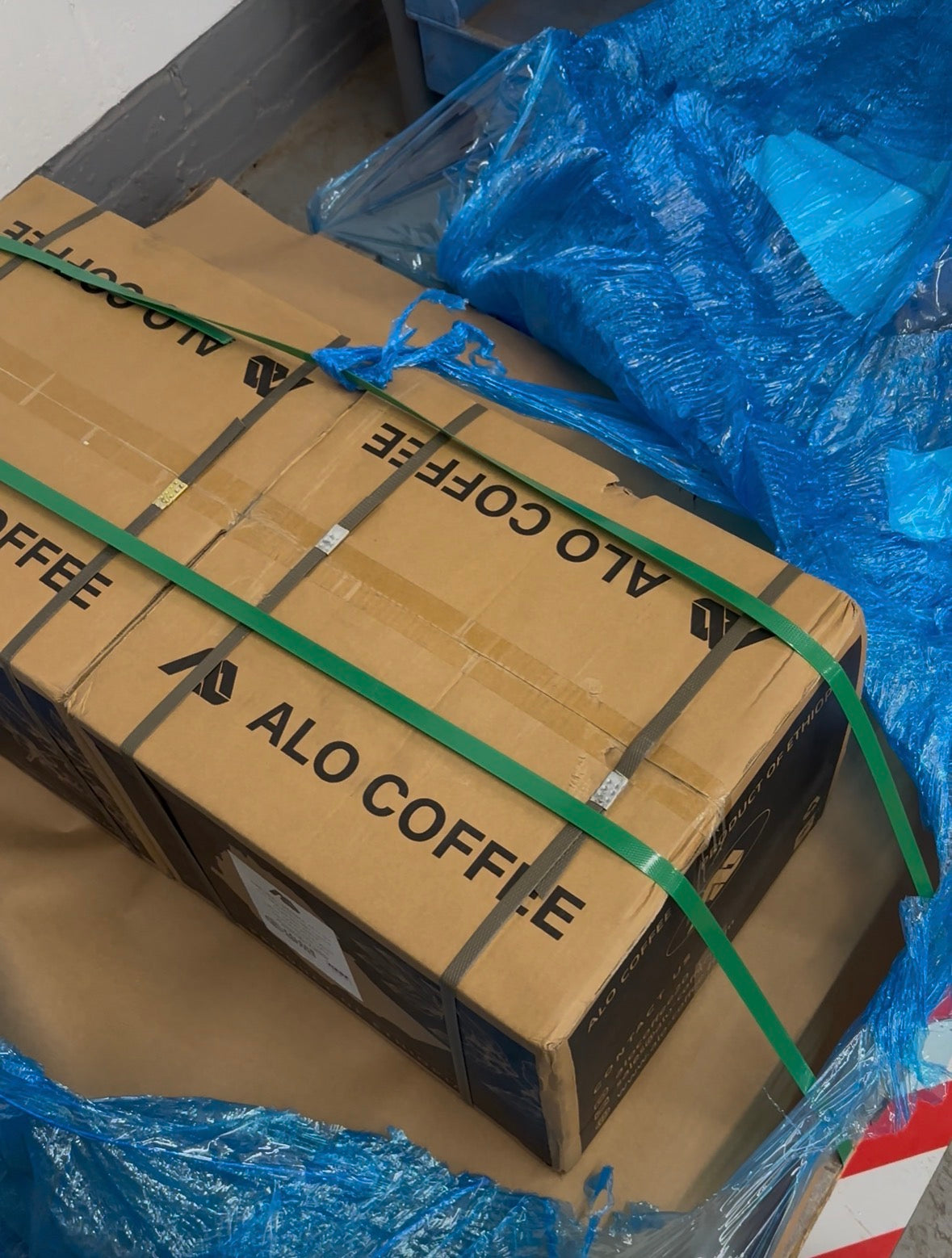 Alo Morkie F5 72 Hour Anaerobic Natural 74158