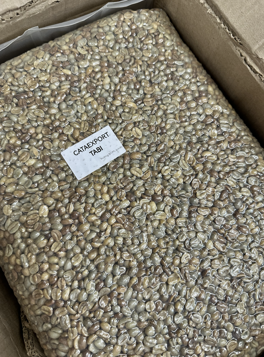 Finca Nogales Advanced Washed Process Tabi