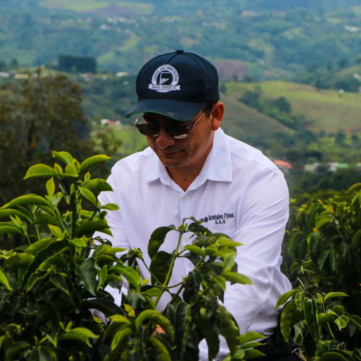 Granja Paraiso 92 Advanced Processing SL28